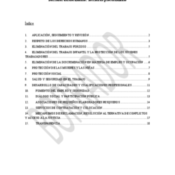 ES 4) Procesamiento thumbnail icon