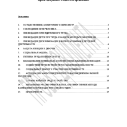 RU 5) Раздел «Распределение» thumbnail icon