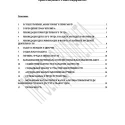 RU 4) Раздел «Переработка» thumbnail icon