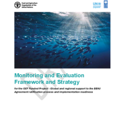 BBNJ_GR_Incep_04 – Monitoring and Evaluation (M&E) Plan thumbnail icon